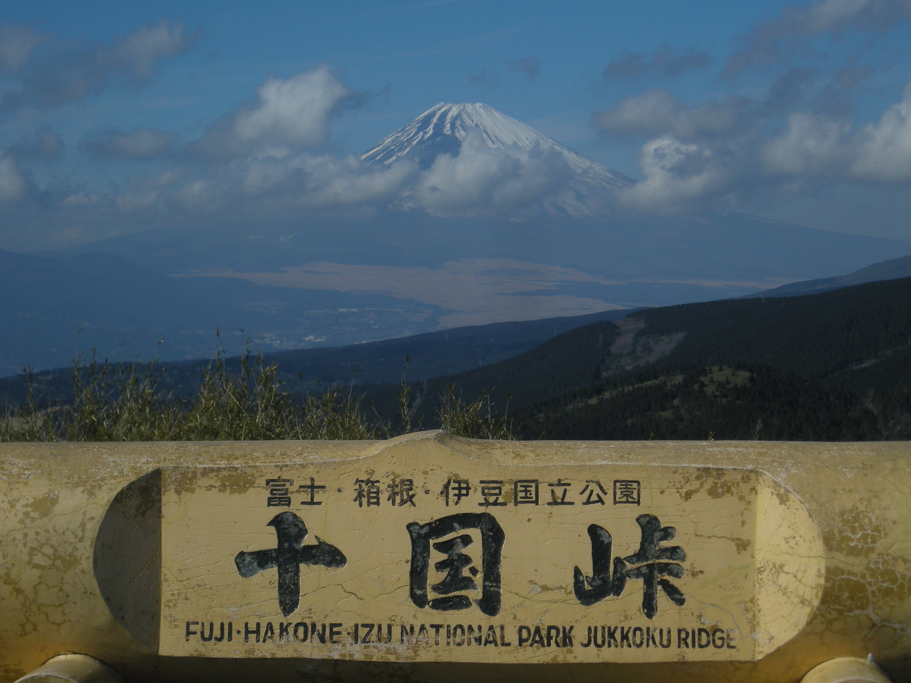 DSCN3716