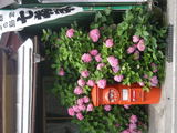 DSCN2597