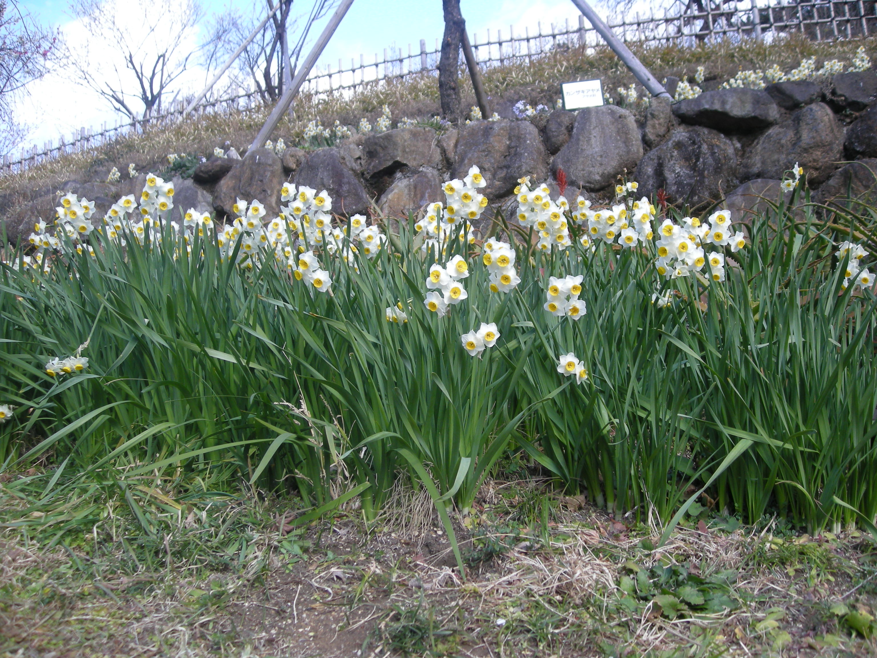 DSCN3695