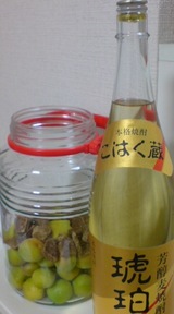 20090621122520