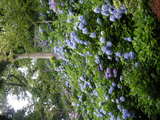 DSCN2629