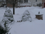 Snowy Day