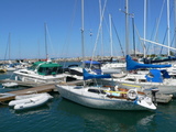 boats