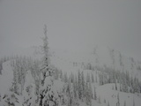 Fernie1