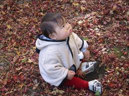 hakone-¤Û¤Î¤«