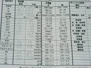検査結果
