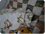 17Nov09-1.jpg