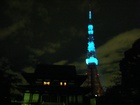 Torre de Tokio3