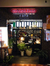mango tree1