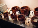 Kushi8