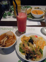 mango tree3