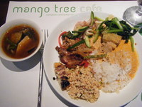 mango tree2