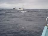 ayuna20091121