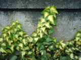 a6b304c7.jpg