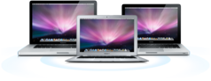 whichmacbook