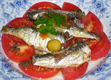 sardine