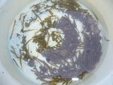 20071203釣果