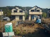 11e37981.jpg