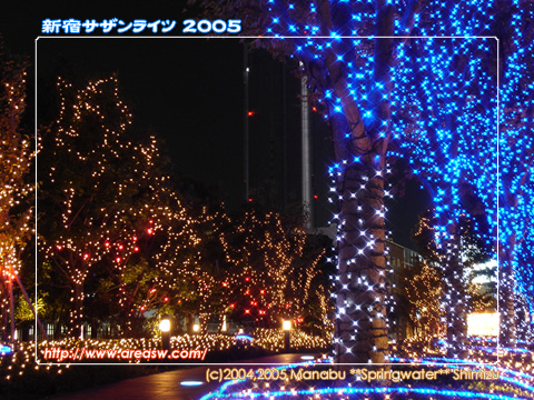 新宿サザンライツ 2005