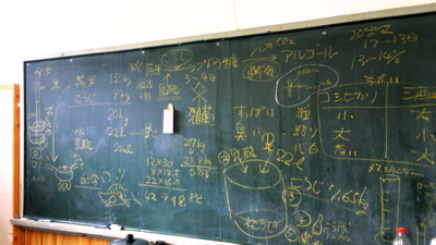 NEC_0481