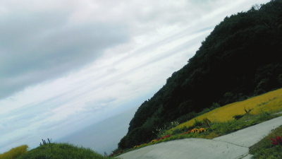 NEC_0510