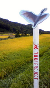 NEC_0513