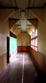 NEC_0486