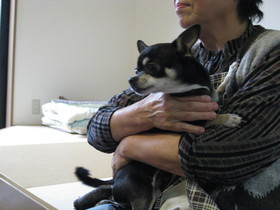 tiwawa