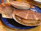 �γ�ۥ���