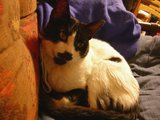 �ҥ�May 08 2008 002