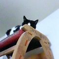 051121�ϥʤ����