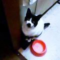 060323�ҥ�1