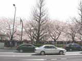 060403千鳥淵へ向かう行列