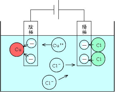 Science イオン 働きアリ The 2nd