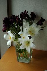 777fff81.jpg