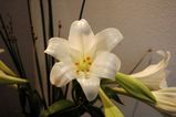 9f89046a.jpg
