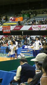 93906c9e.jpg