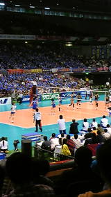 955945f1.jpg