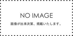 noimage