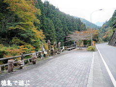 三好市 藤の里公園