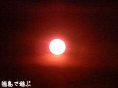 太陽 撮影 夕方