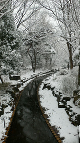 3ec83e7d.jpg