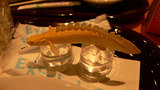 b4a60830.jpg
