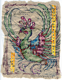 #20080508