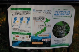 両国日記:<b>福岡市動物園</b>（その４） - livedoor Blog（ブログ）