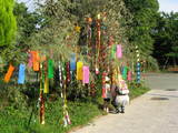 8d92142c.JPG