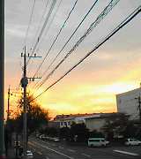 027b5d84.jpg