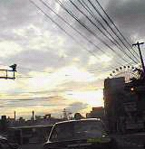 2b784b66.jpg