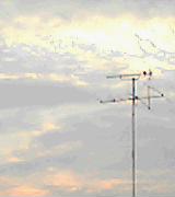 321c8618.jpg