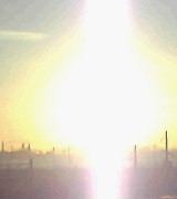 8e156900.jpg